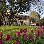Al Cantico Bed and Breakfast
