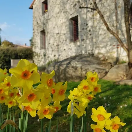 Oda ve Kahvaltı Al Cantico