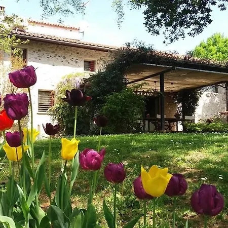 Al Cantico Bed & Breakfast Colceresa